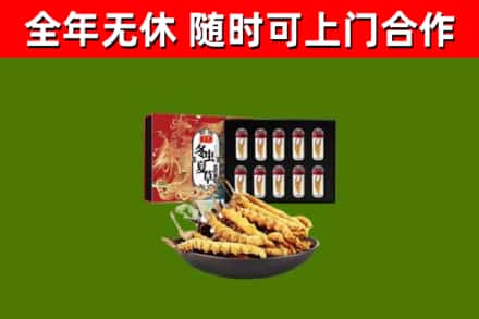 张家港市回收冬虫夏草价格